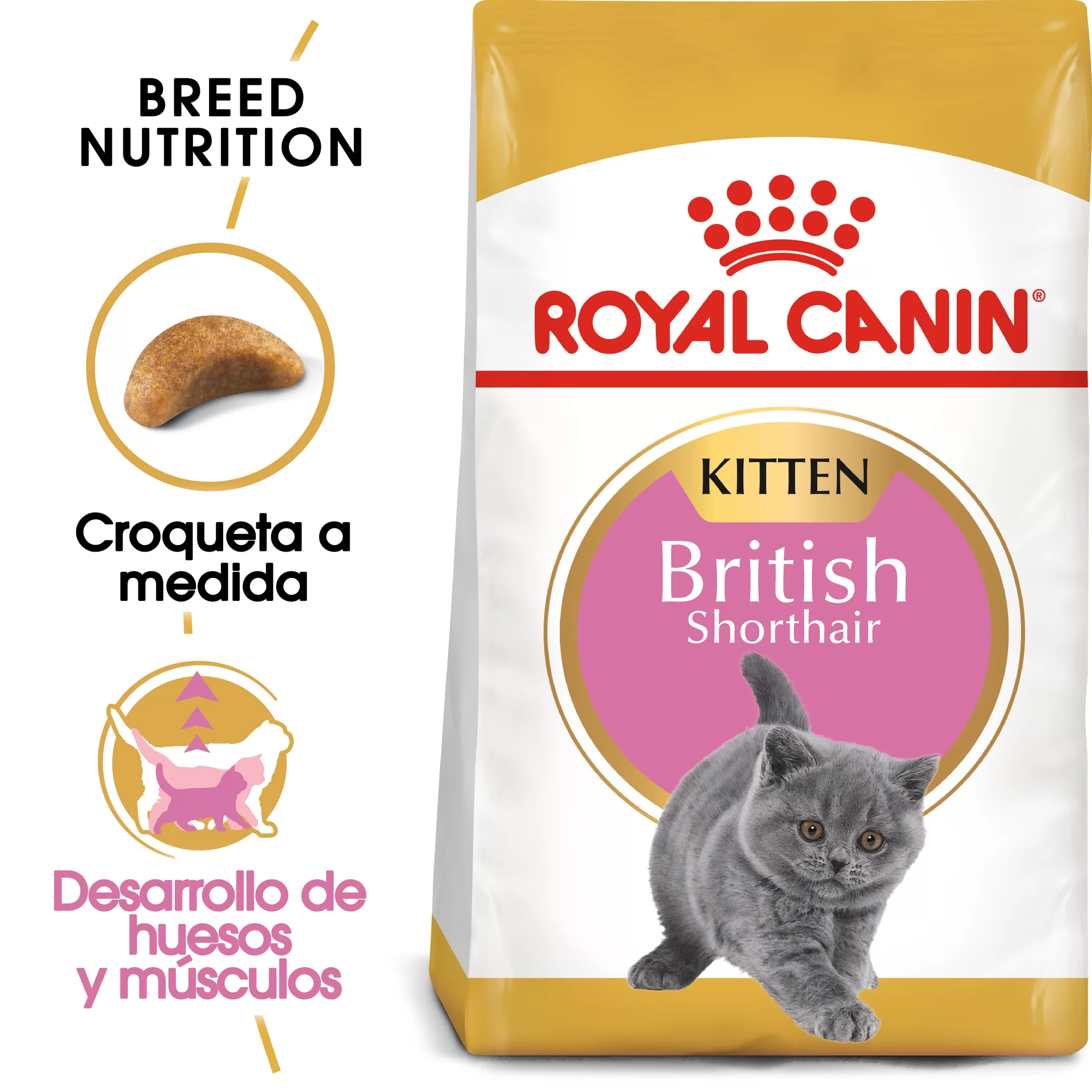 Guía completa de la Tabla de Peso del British Shorthair